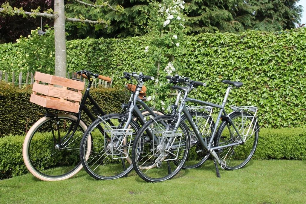 B&B Logis DAmis