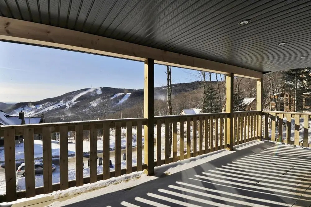 Chalets Alpins - 42 Chemin Blanc