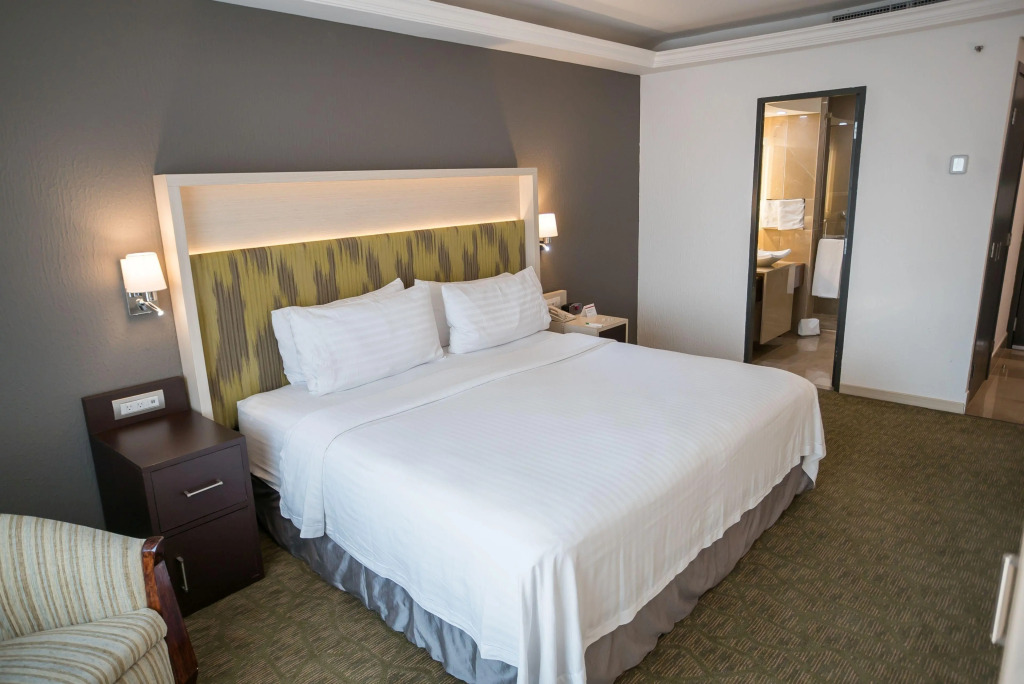 Holiday Inn Queretaro Zona Diamante by IHG