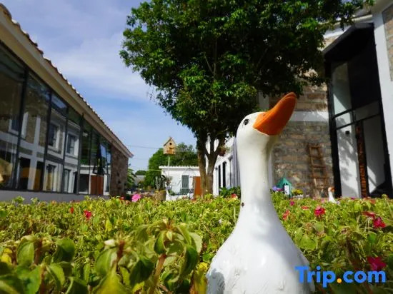 Weizhou Island Zhi·Ting Homestay