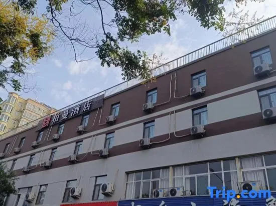 Borrman Hotel