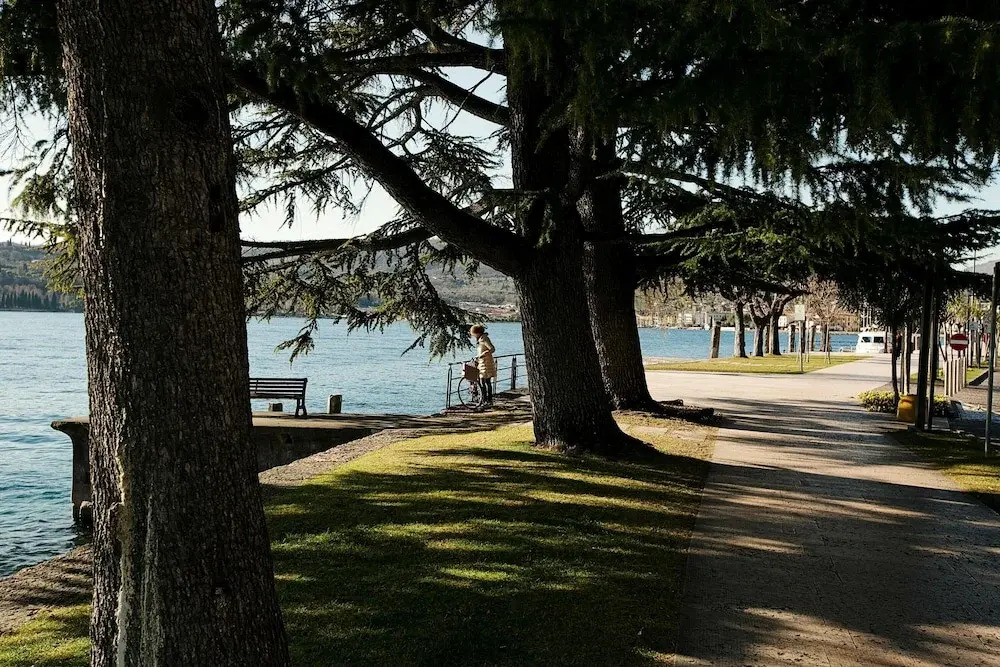 Alma - Near Lake in Sal