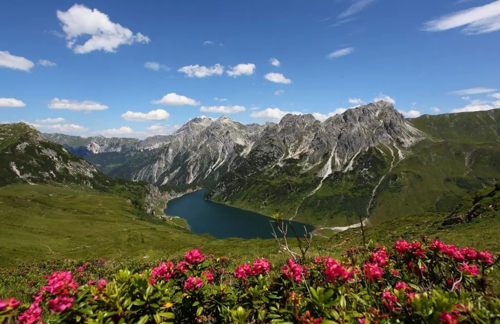 Appartementhaus Alpenpark
