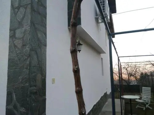 Father's House