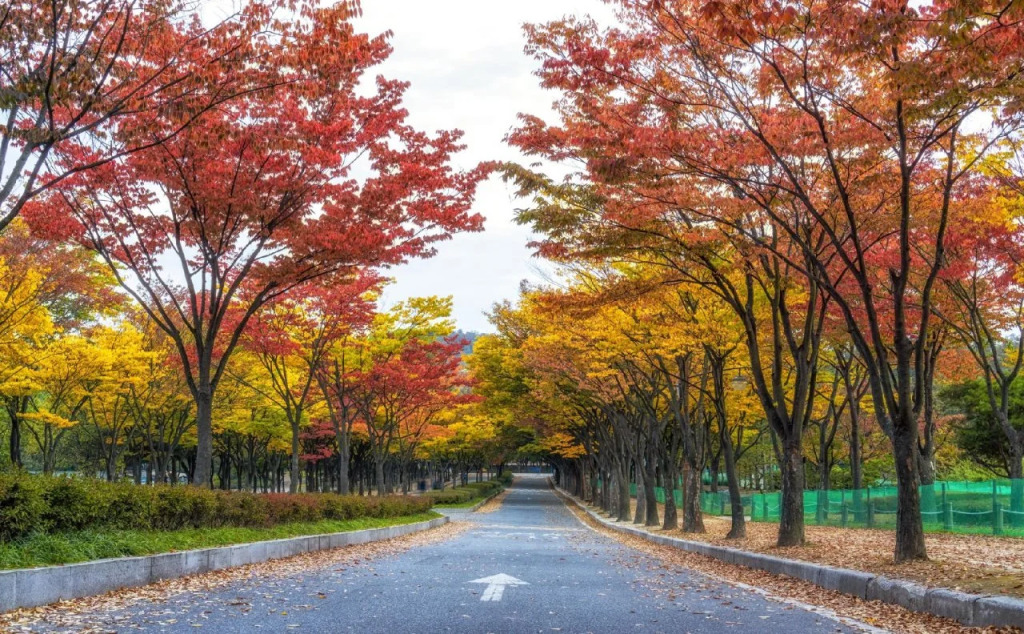M Place Hotel Guwol-dong