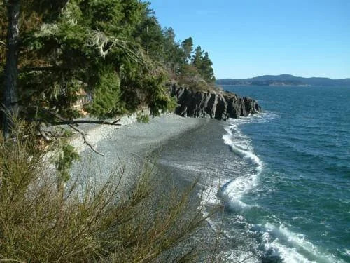 Orca View Cottage