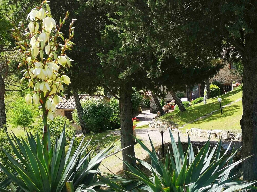 Casa Acacia 3br,2ba House in Castellina in Chianti