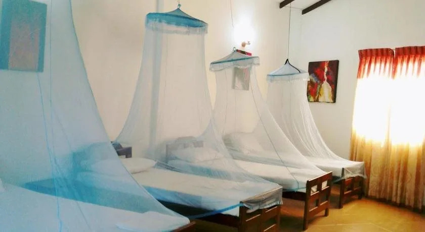 Sachal Mir Bed&Breakfast