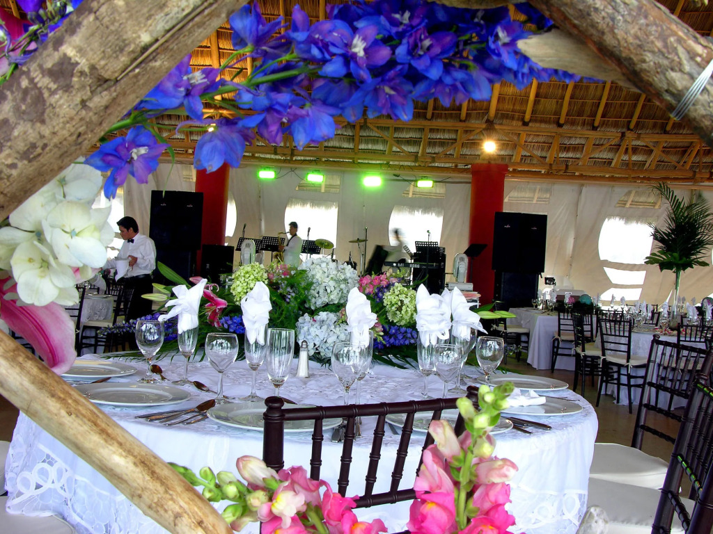 Hotel Terranova