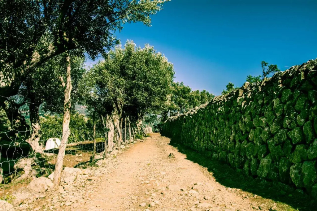 Hostel Sóller
