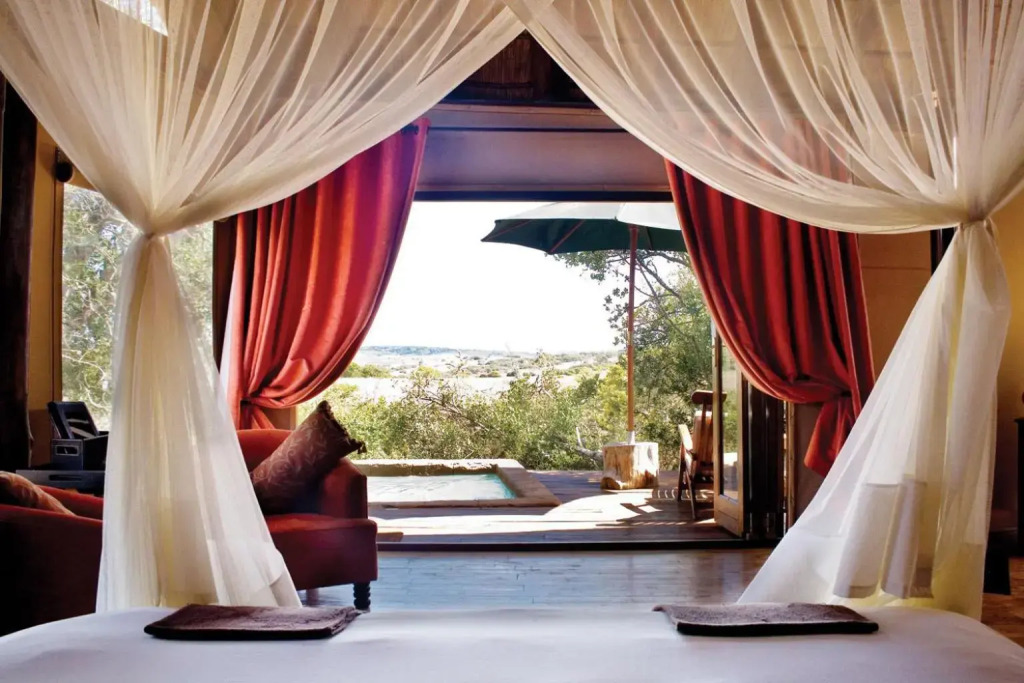 Bush Lodge   Amakhala Game Reserve