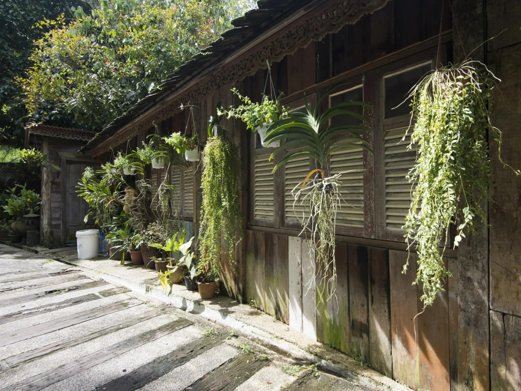 Fig Tree Hills Resort