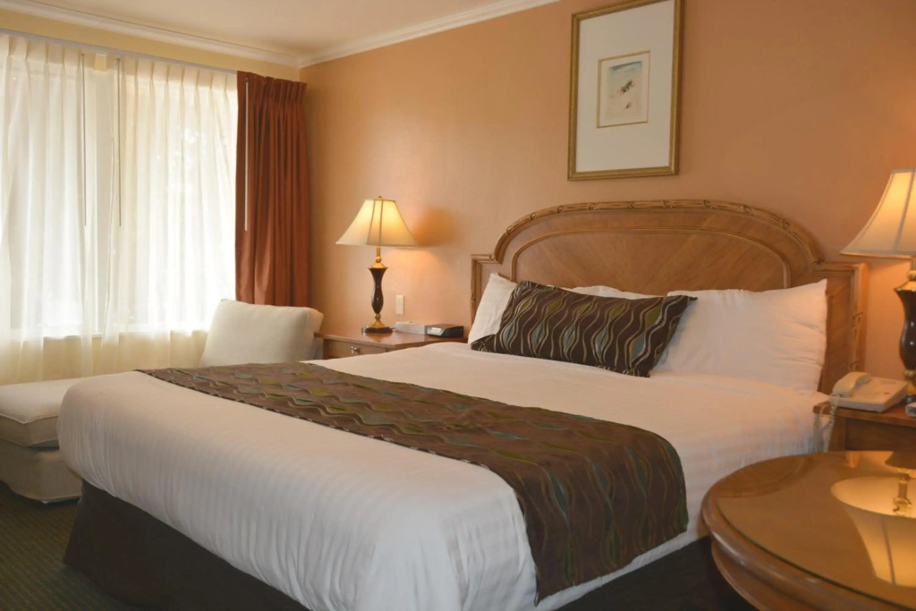 Oasis Inn and Suites