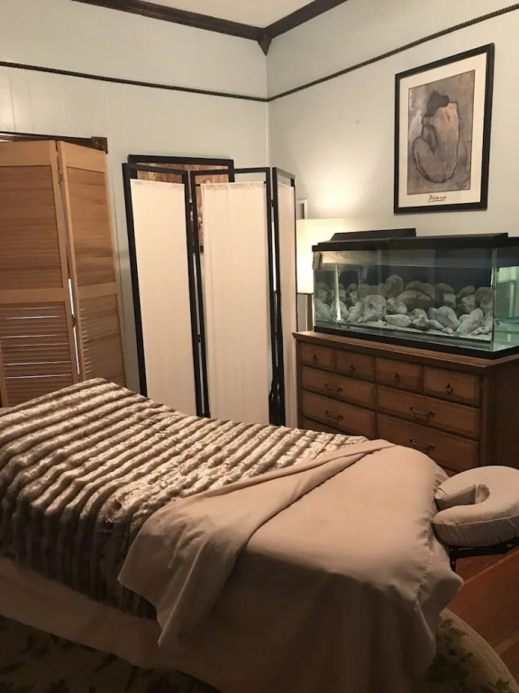 Downtown BnB King Bed Clawfoot Tub & Hot Tub
