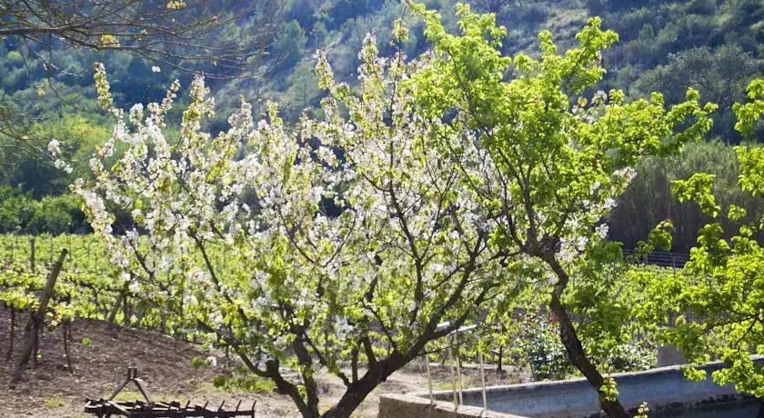 Casa Rural Sa Vall