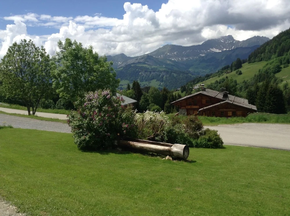 Chalets Savoie Les chalets dHeidi