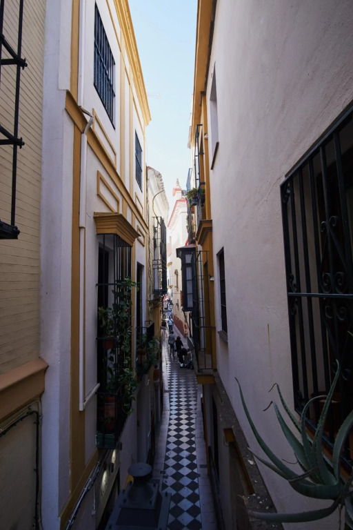 nüa santa cruz