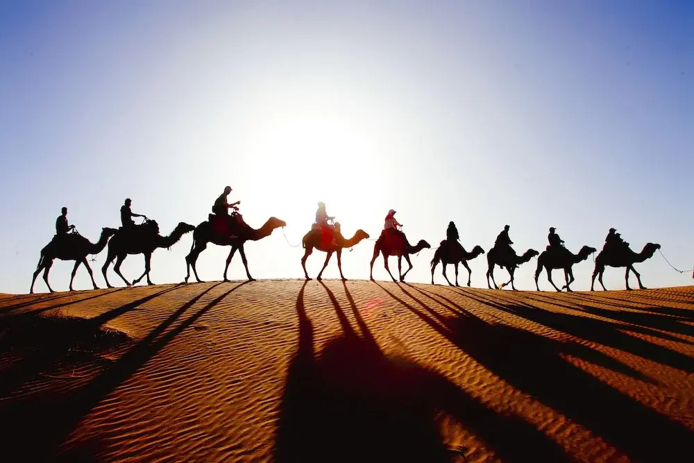 Luxury Sahara Gold Camp