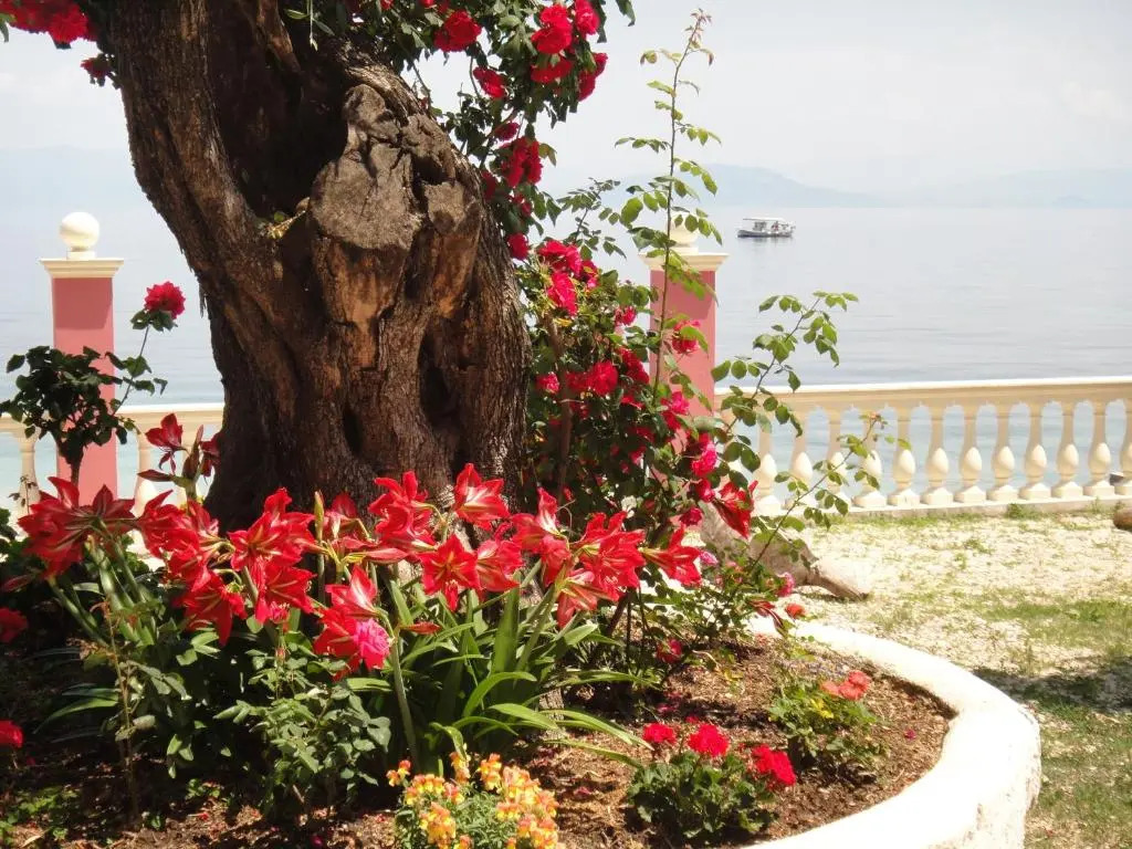 Apartments Corfu Sun Sea Side