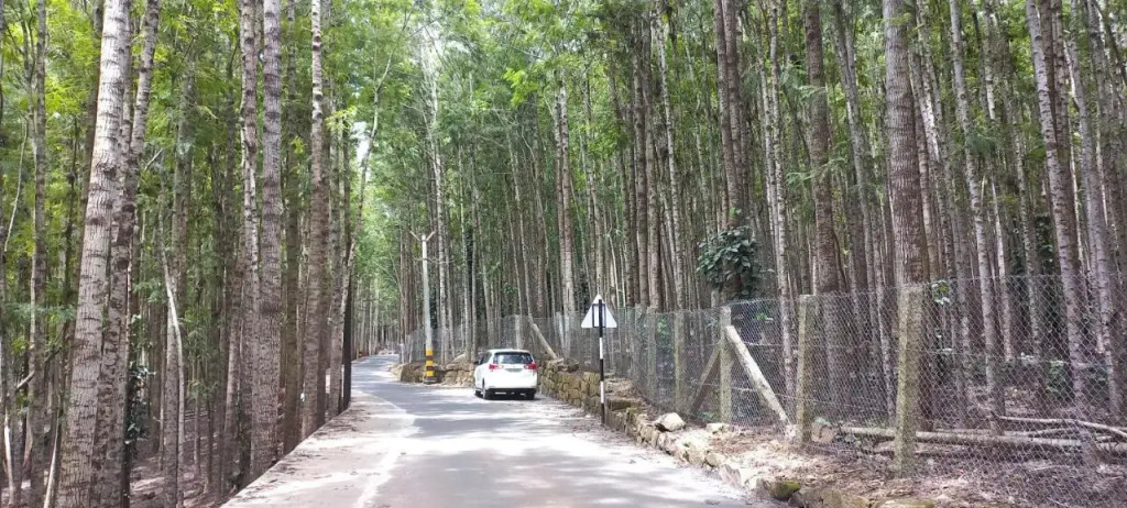 iSTAYS - Loop Road Yercaud