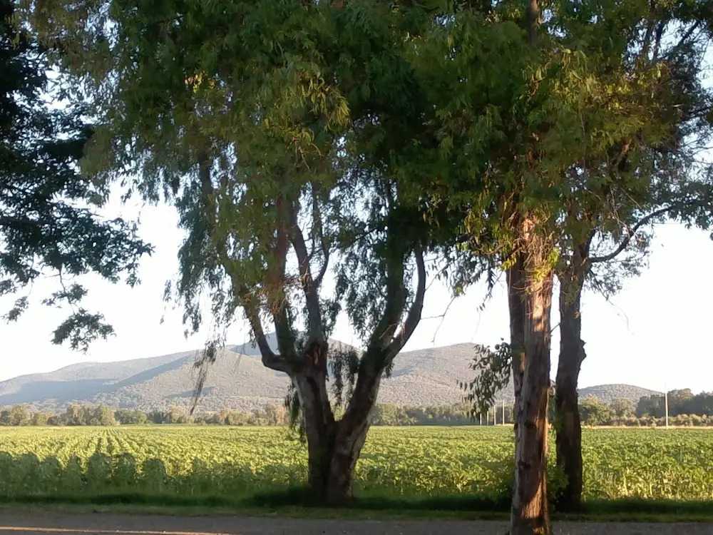 Agriturismo Pian di Barca