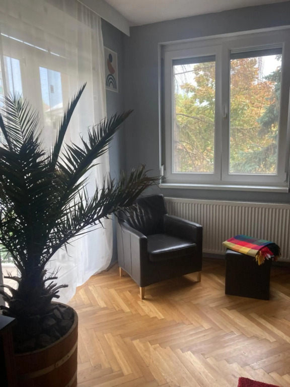 designer fészek