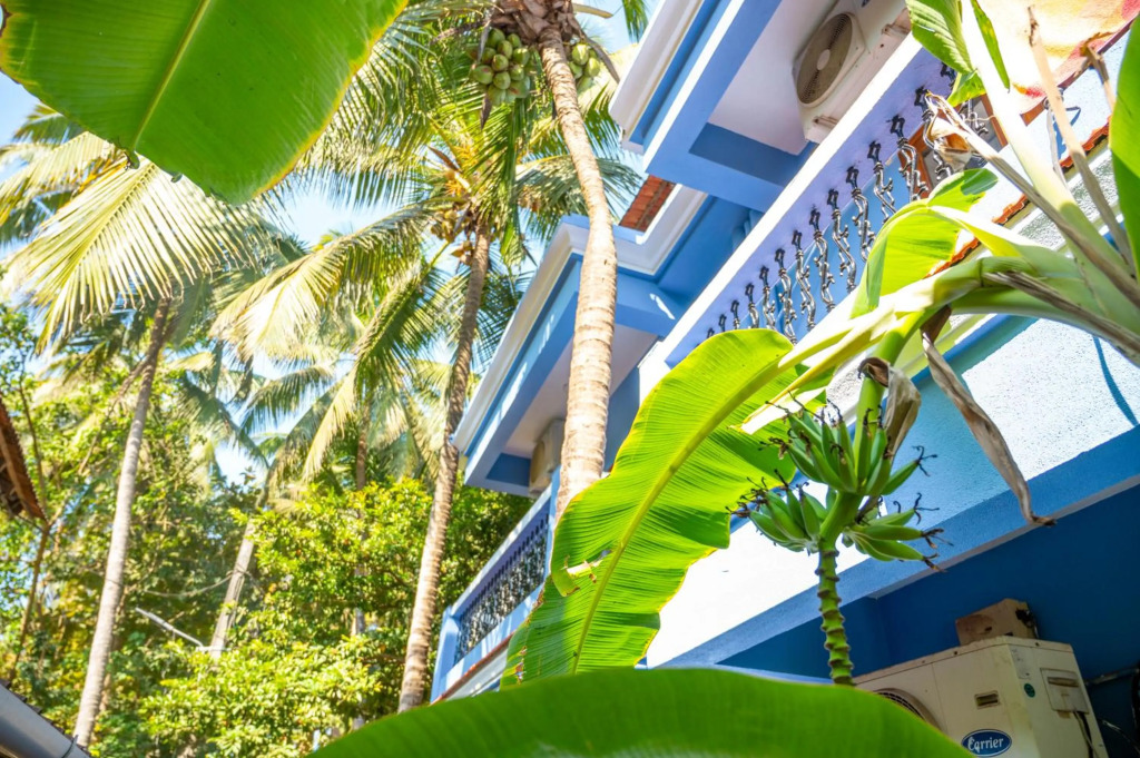 Franria Villa Guest House