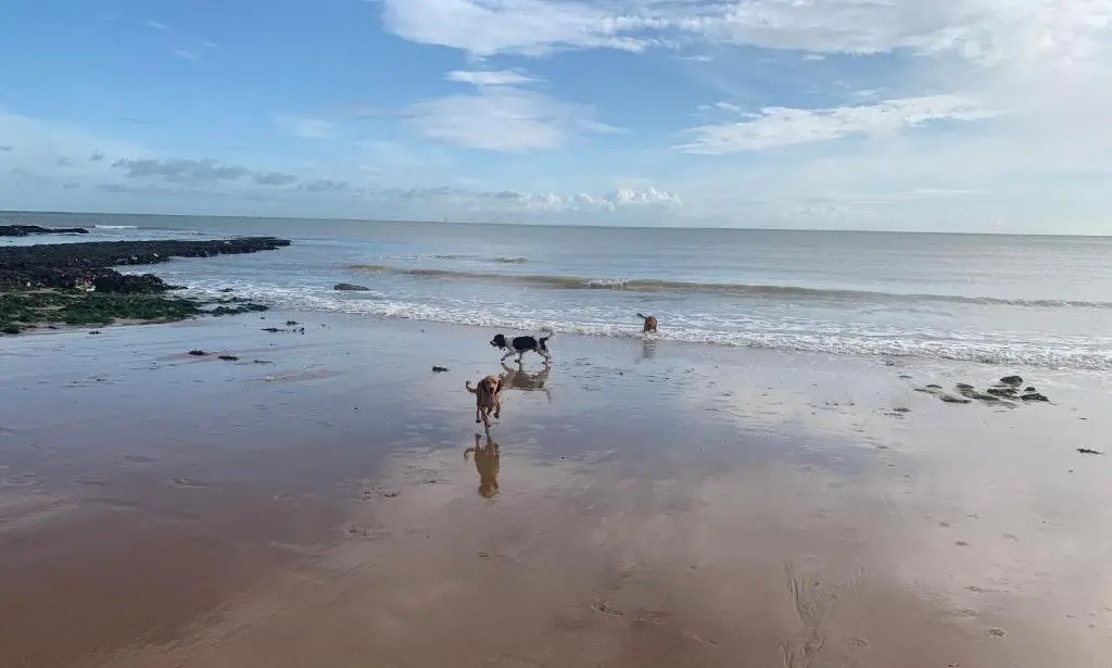 Winterstoke View-Family&Dog Friendly Beach Retreat