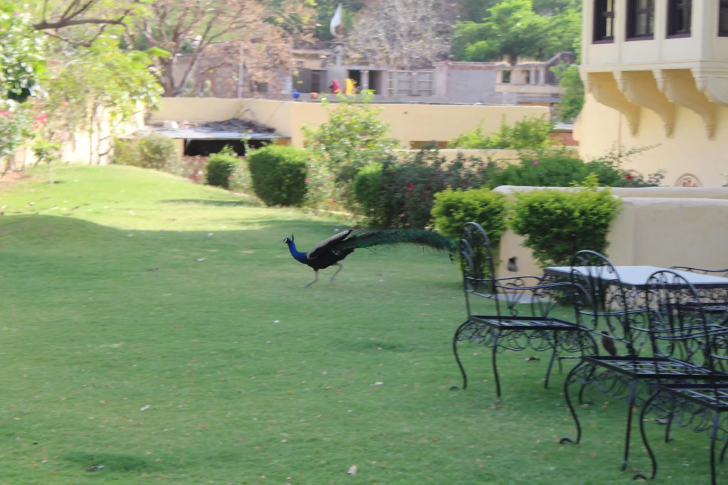 Dhula Garh  A Heritage Hotel
