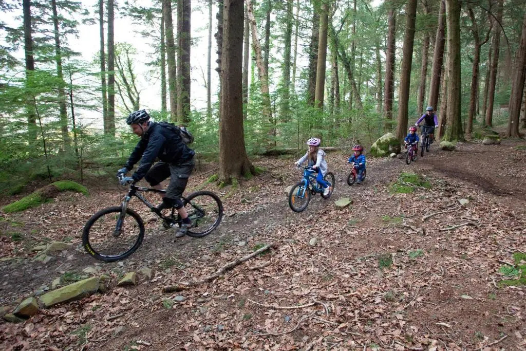 Rostrevor Mountain Lodge Hostel Accommodation