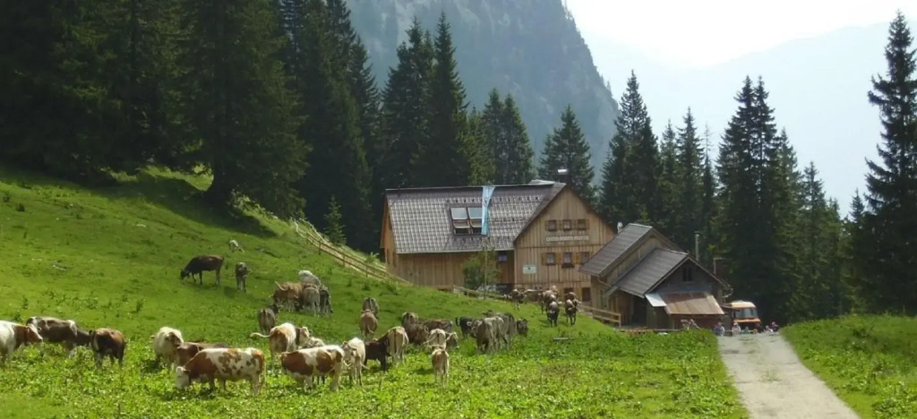Der Tannenhof - das Radfahrerhotel