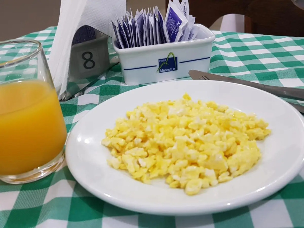 Hotel Minastur