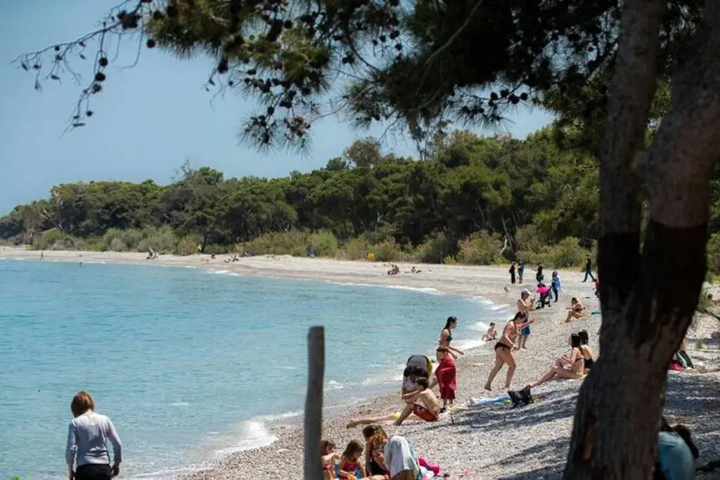 Apartment 50m from sea!