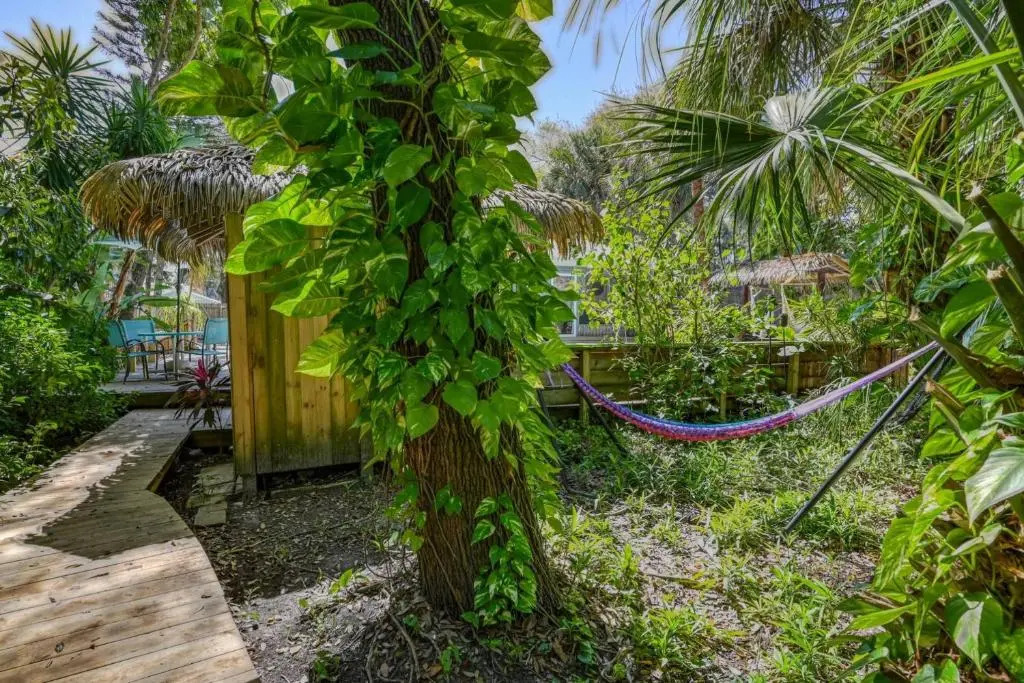 Tiki Nest