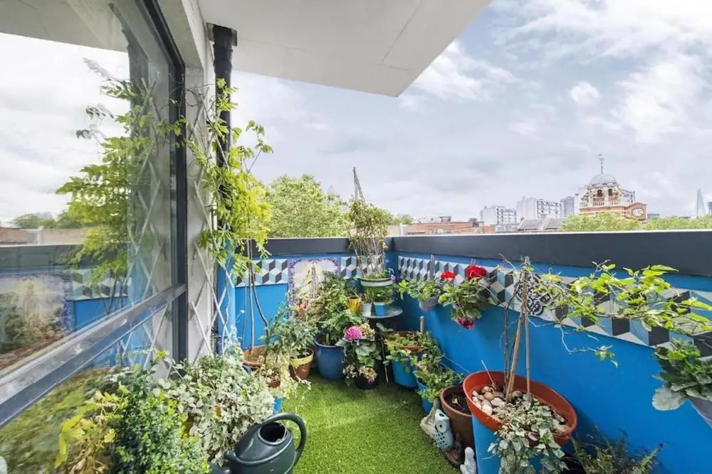 City View Apartment