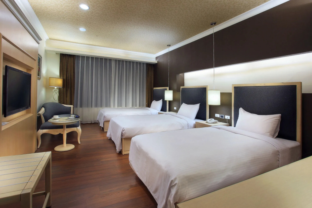 Hotel Modern Puli