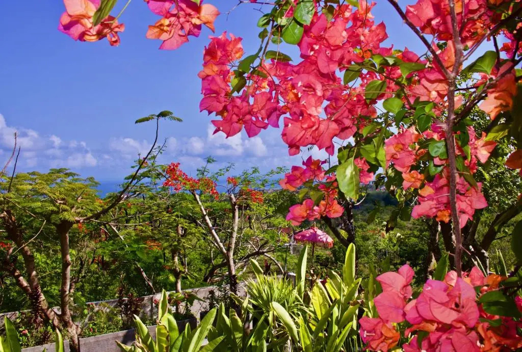 Villa Awan Uluwatu