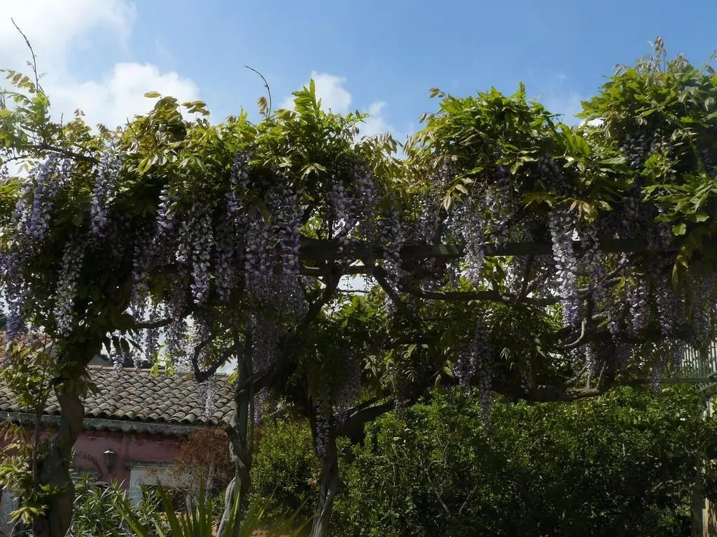 Casa VELARDI
