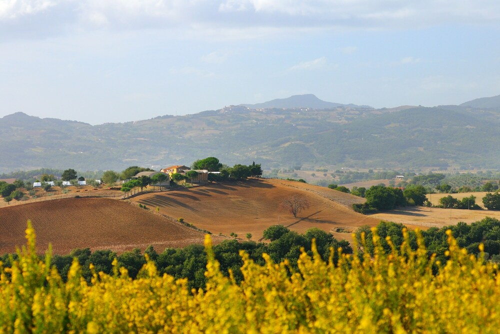 Relaxing Family Podere Delle Rose Pool & Garden