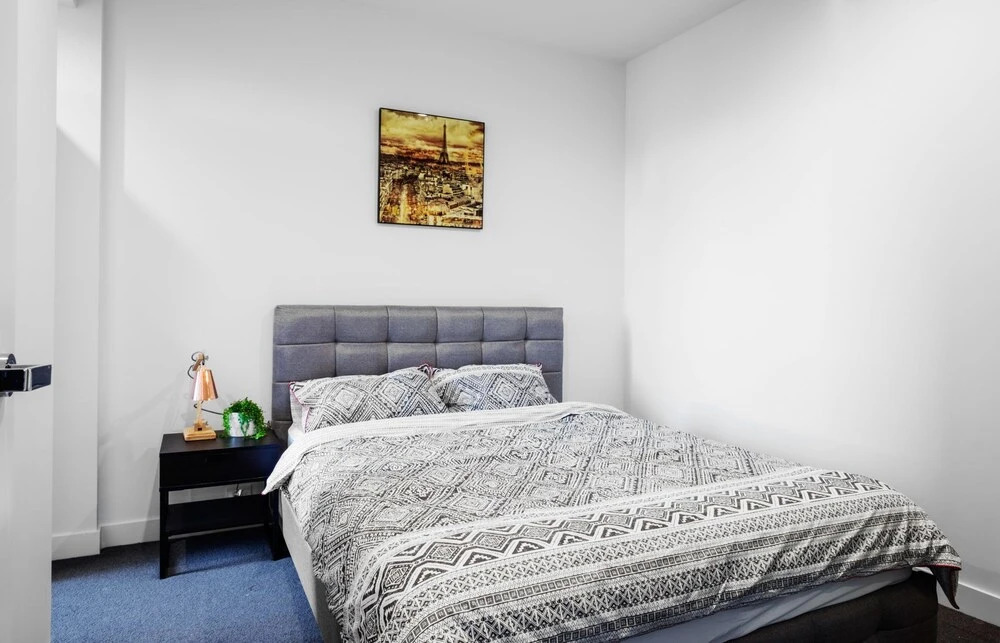Roomerang at Parque Apartments 7