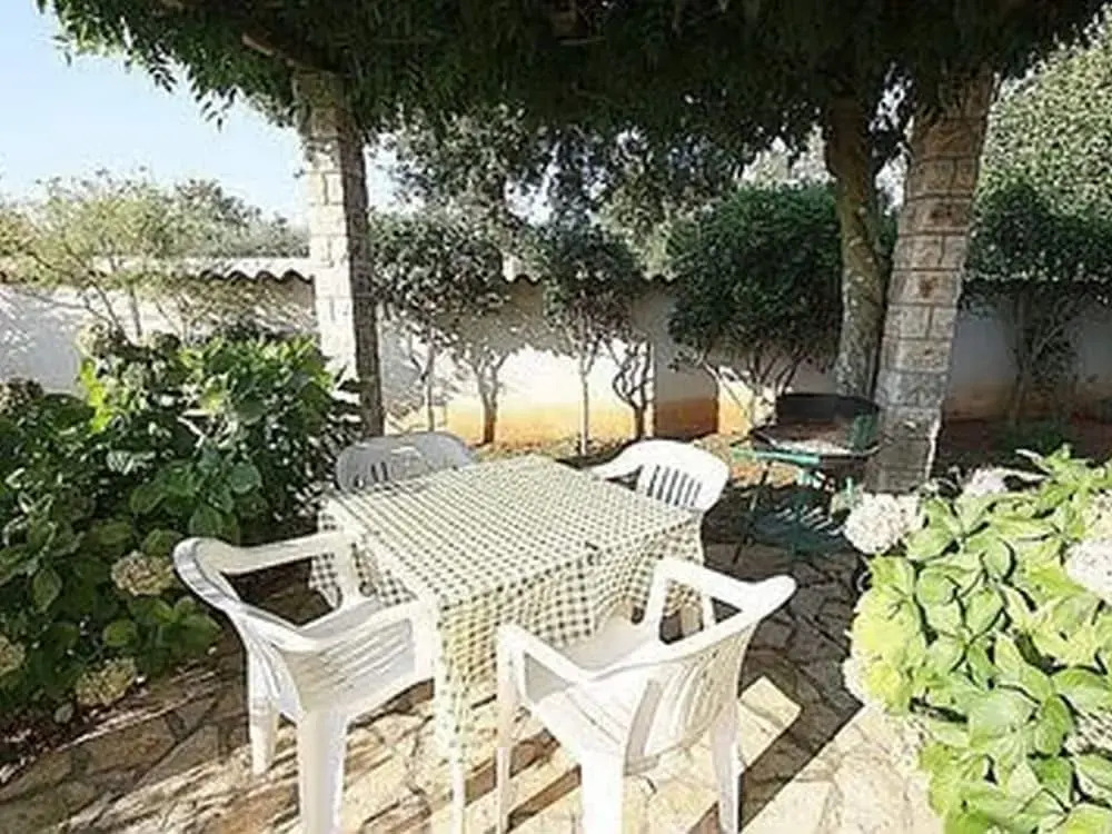 Graceful Apartment With Barbecue Area
