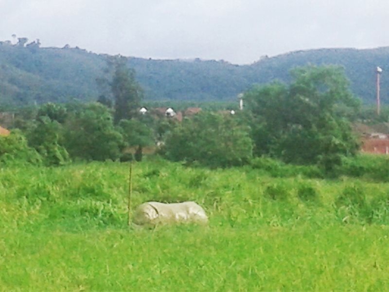 Yesterday Country Resort