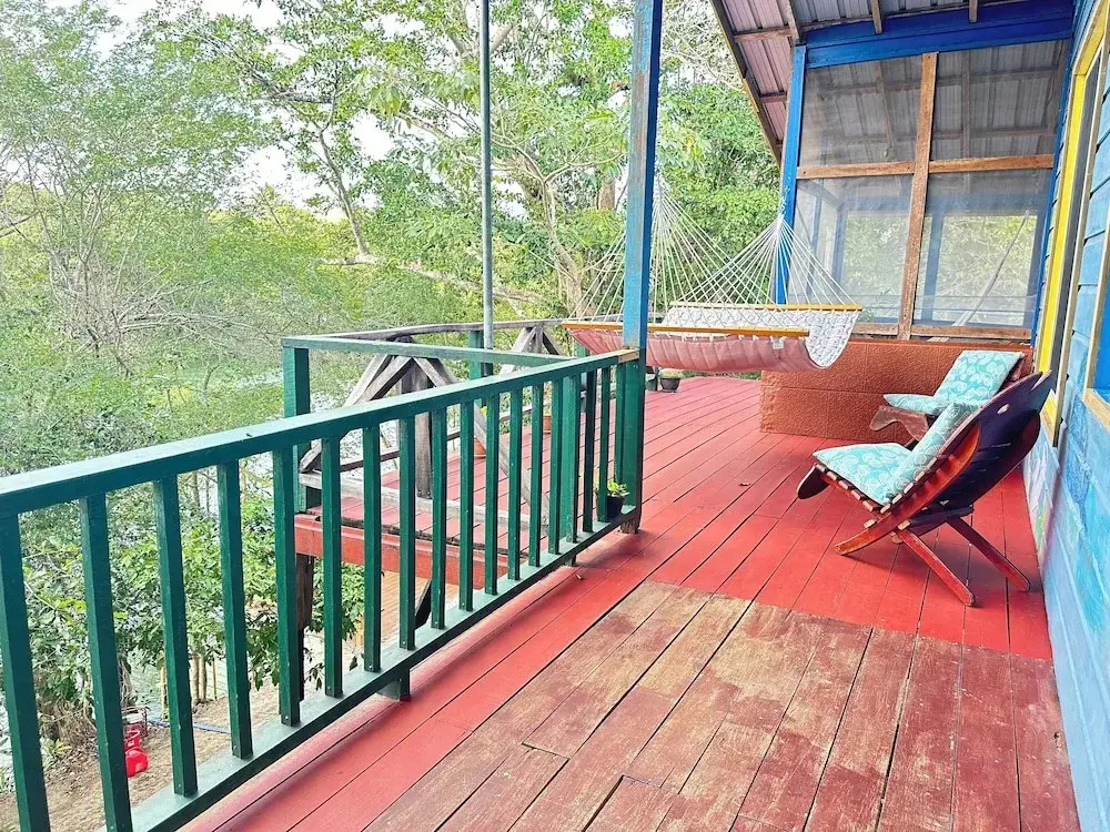 Howler Jungle House