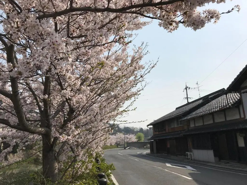 Guesthouse Mio