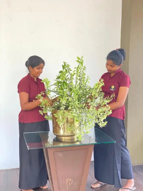 Hotel Cloud 9 Negombo