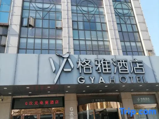 G-Dimension E-sports Apartment