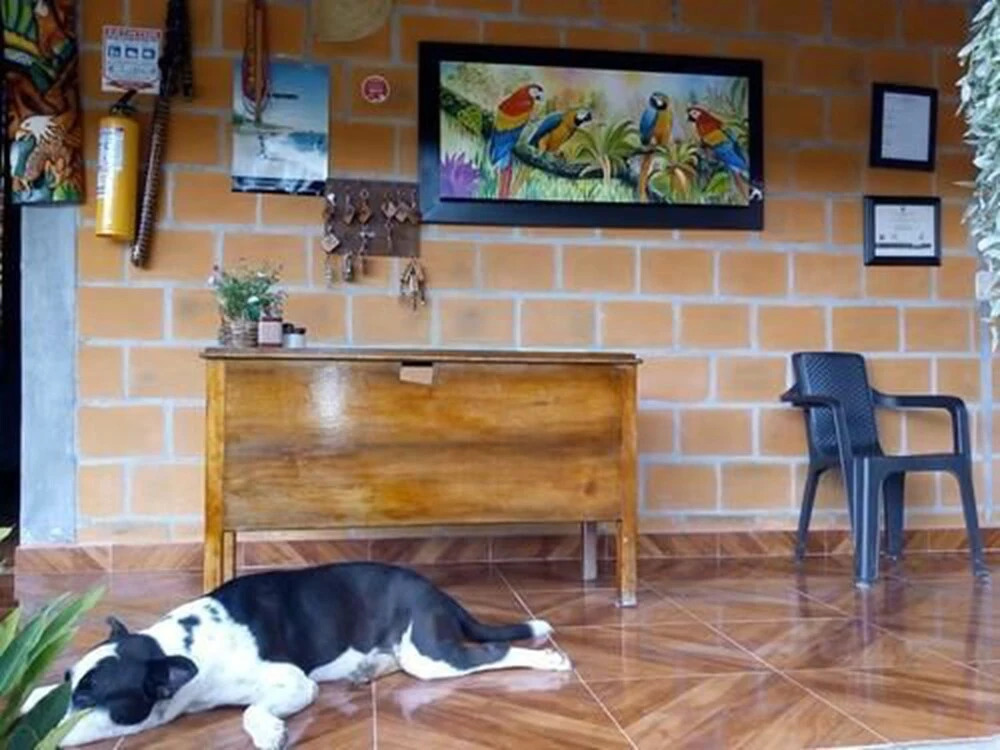Hostal El Papiro
