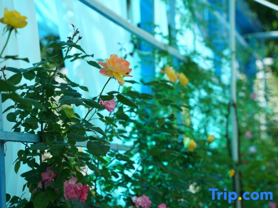 Yilan• Central Asia-Europe-Africa Ring Youth Hostel