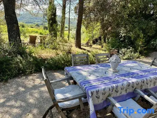 Mansion in Vaison-la-romaine With Private Pool