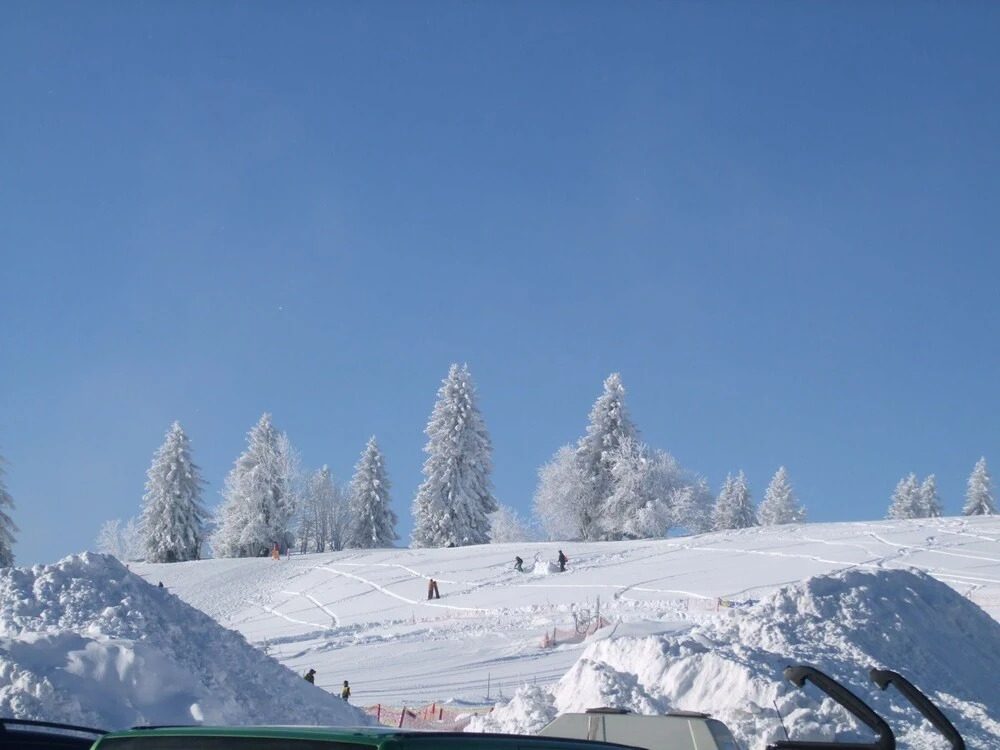 Modern Apartment on the 1st Floor at the Foot of the Feldberg with Use of Garden